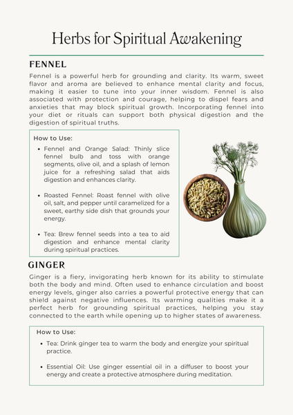 Herb Allies for Spiritual Awakening EBook