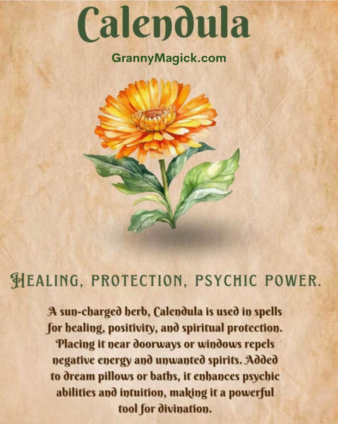 Calendula Floral Herb Bundle Smudge