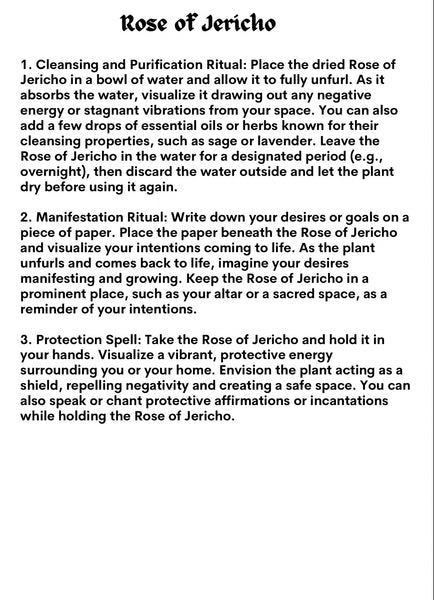 Rose of Jericho