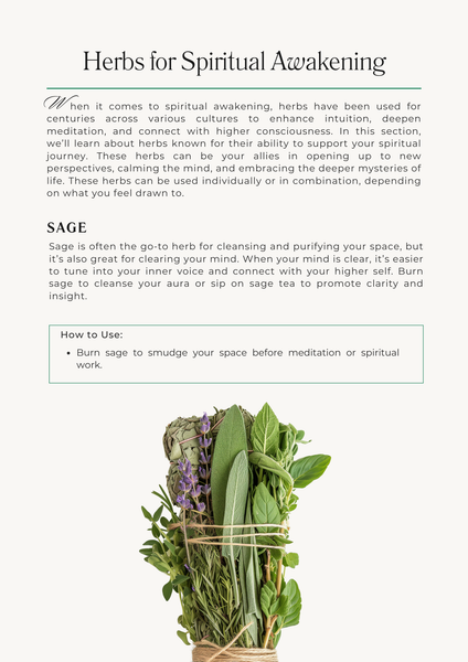 Herb Allies for Spiritual Awakening EBook