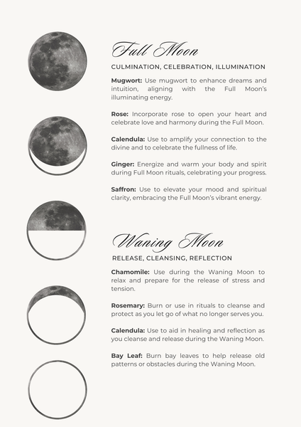 Herb Allies for Spiritual Awakening EBook