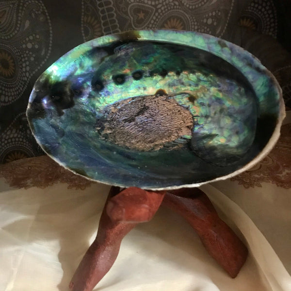 Abalone Shell Sage Bundle Smudge Set