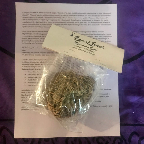 Rose of Jericho