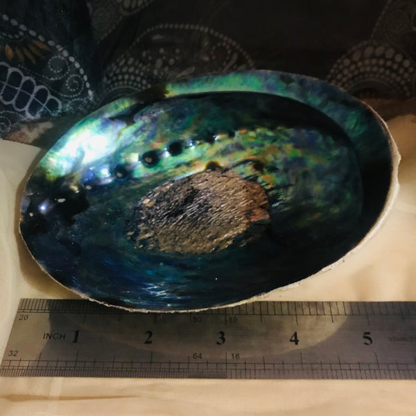 Abalone Shell Sage Bundle Smudge Set