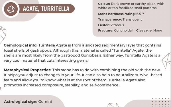 Turritella Copper Wrapped Pendant TUR 10, 13