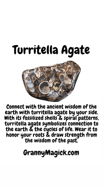 Turritella Copper Wrapped Pendant TUR 10, 13