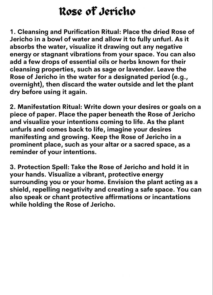 jericho plant prayer Rose of Jericho – Granny Magick Margaret Jamison