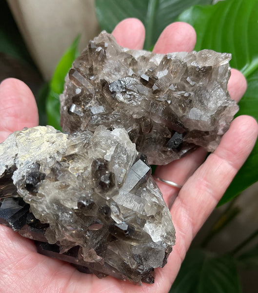 Smokey Smoky Quartz Clusters