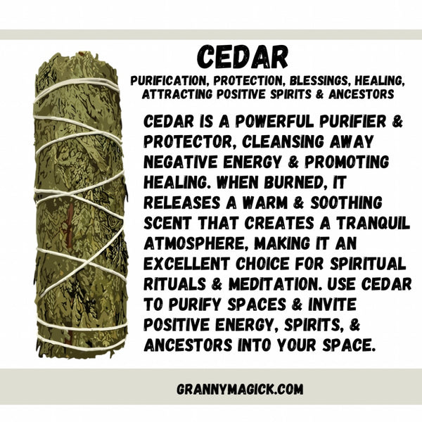 Cedar Herb Bundle