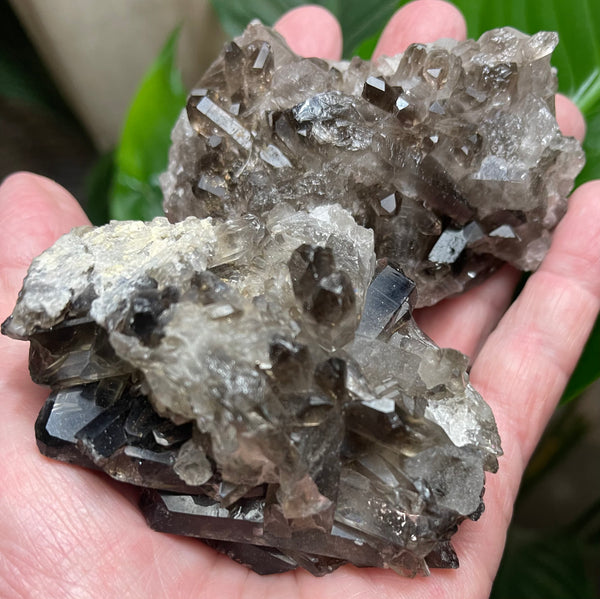 Smokey Quartz Clusters