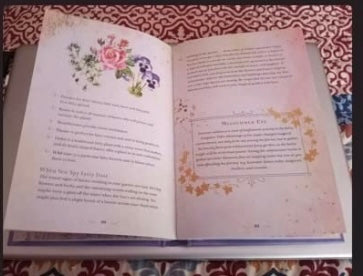 Fairy Magic: A Handbook of Enchanting Spells, Charms, and Rituals by Aurora Rane