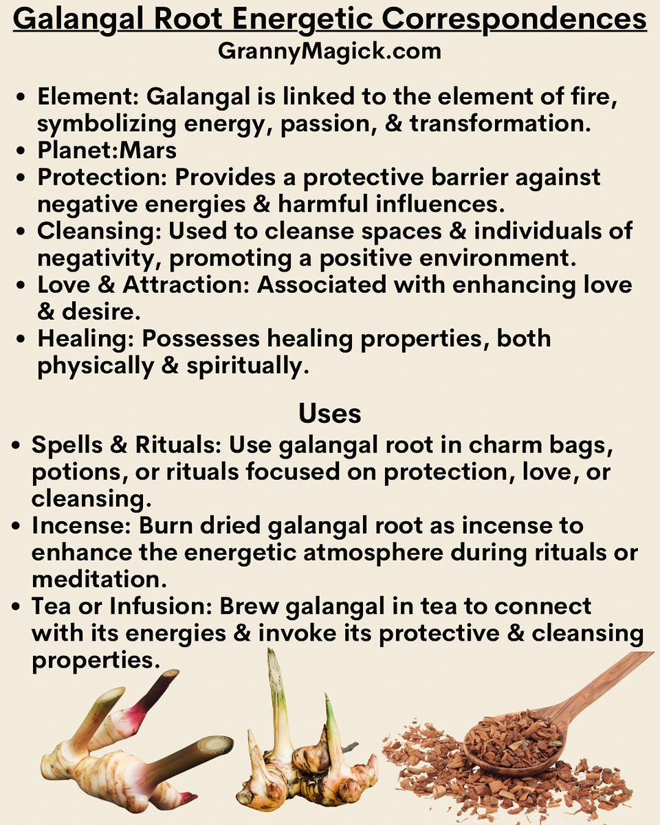 Galangal Root 1 ounce – Granny Magick Margaret Jamison