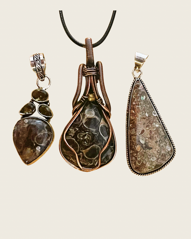 Turritella Agate Pendants Assorted